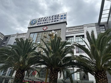 雲南省便攜式微量元素分析儀品牌-昆明安寧